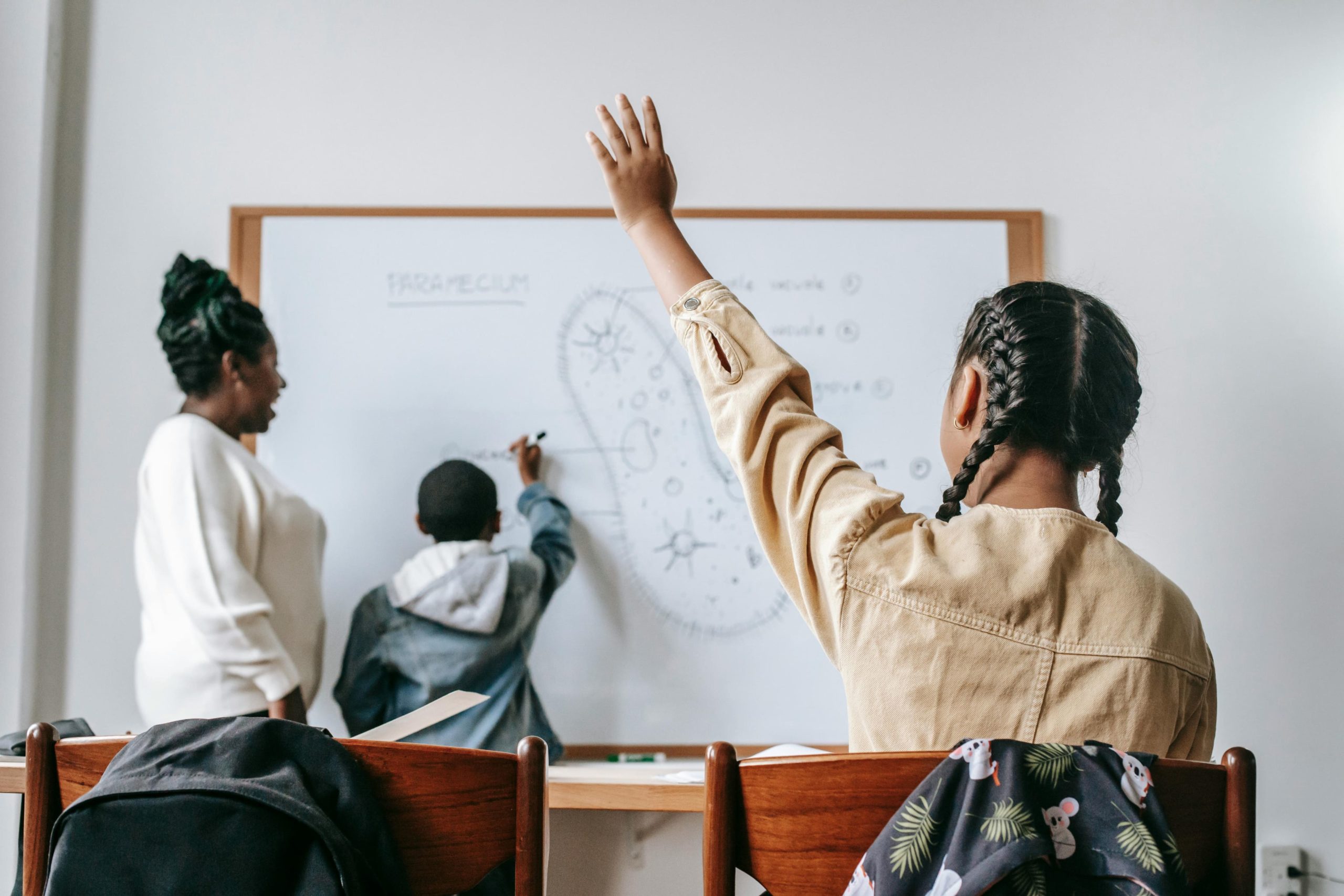 Live online 11 plus English revision class